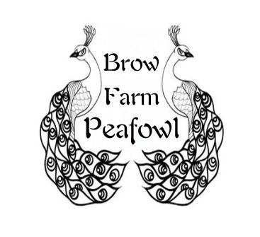 Brow Farm